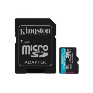 Kingston - Memory Card Canvas Go Plus (SDCG3/256GB) - MicroSDXC