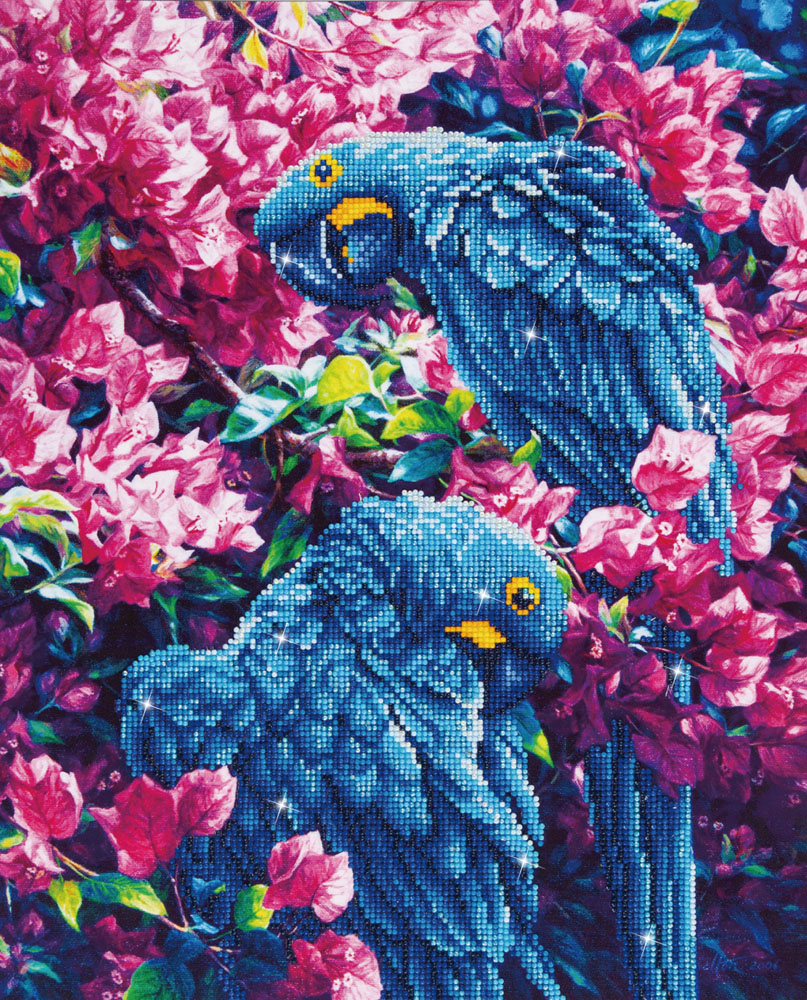 Blue Parrots