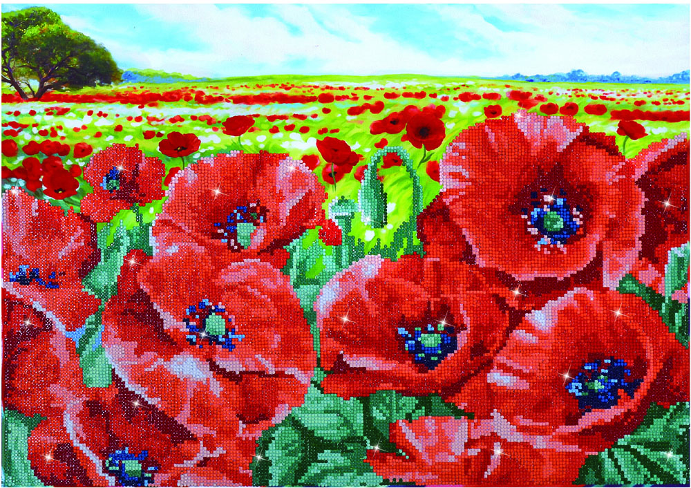 “Red Poppy Field”