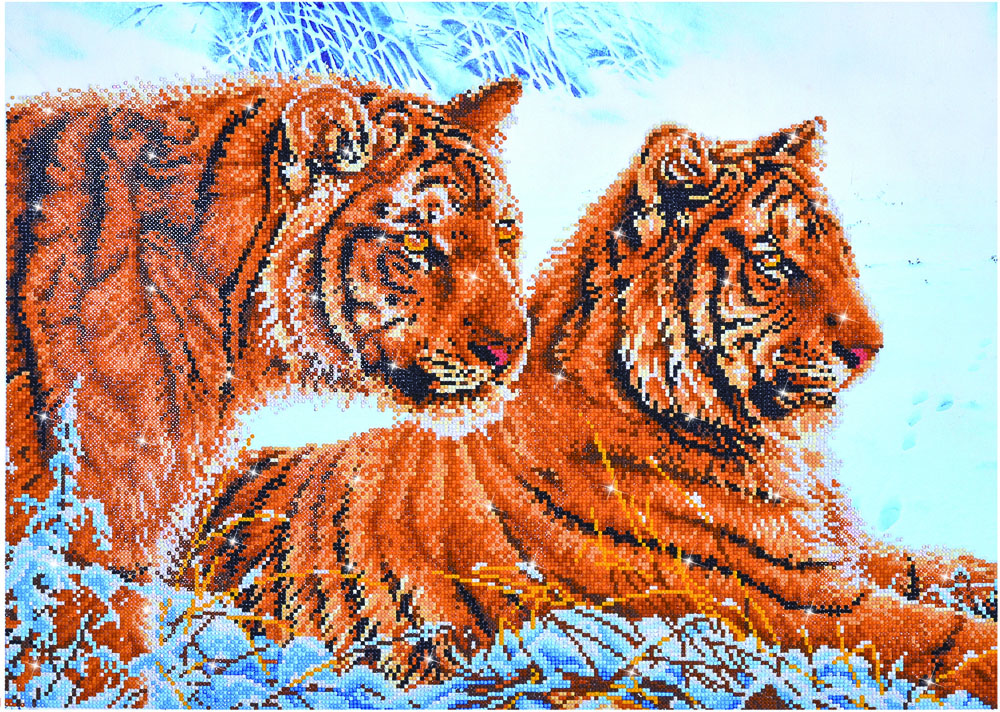 Tigers in the Snow