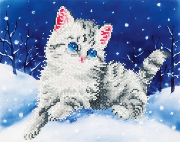 Kitten in the Snow