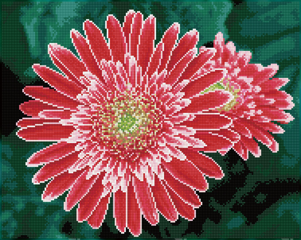 Pink Gerberas (με τετραγωνα Diamonds)