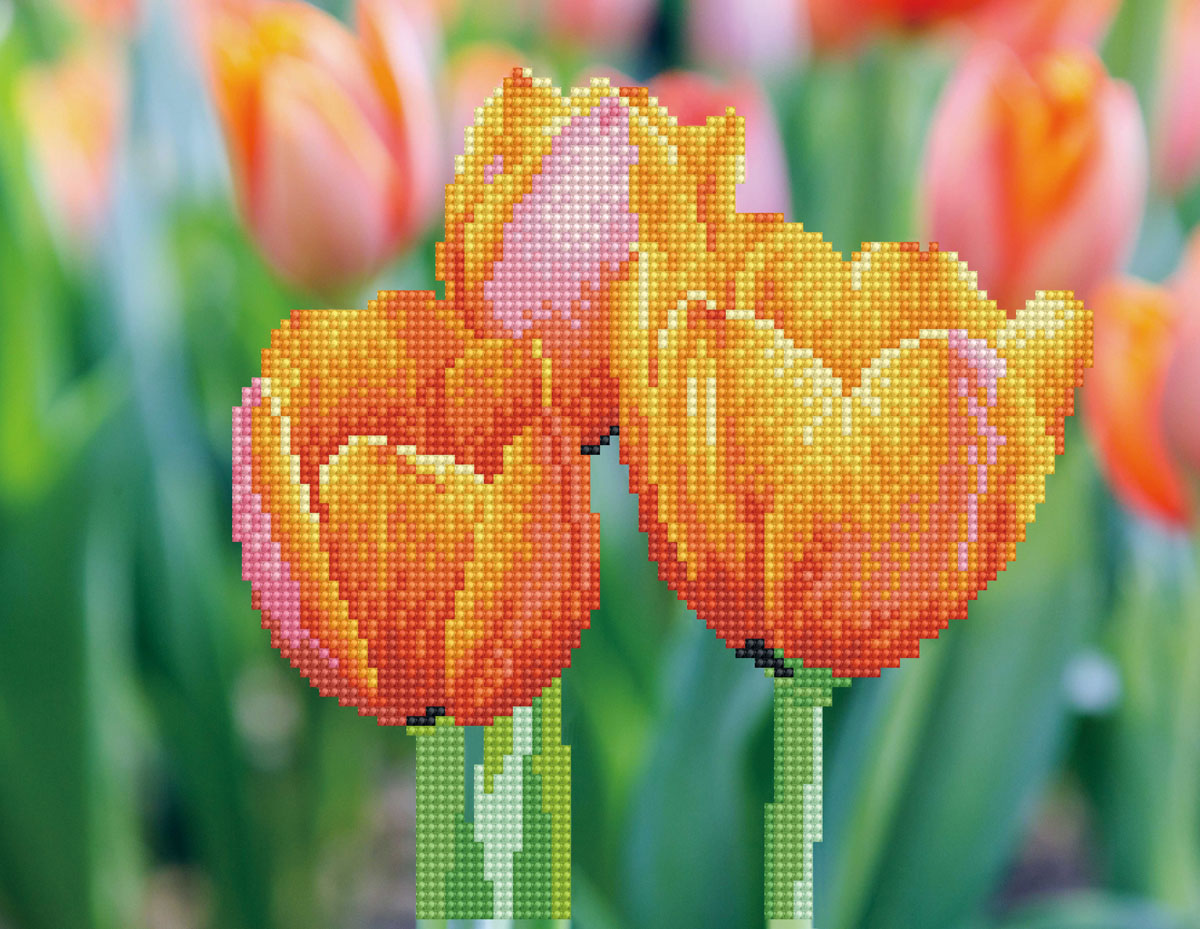 Love Tulips