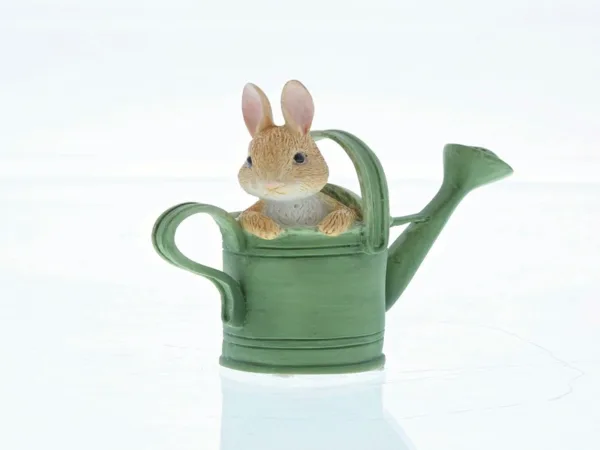 Peter in Watering Can 6