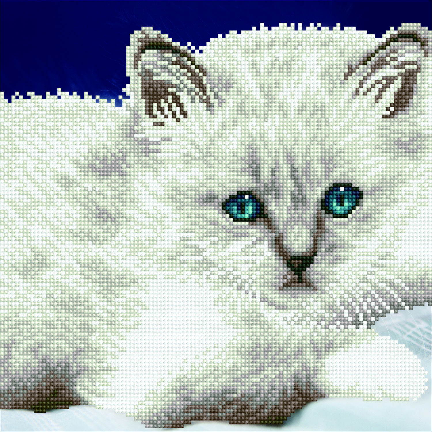 WHITE CAT