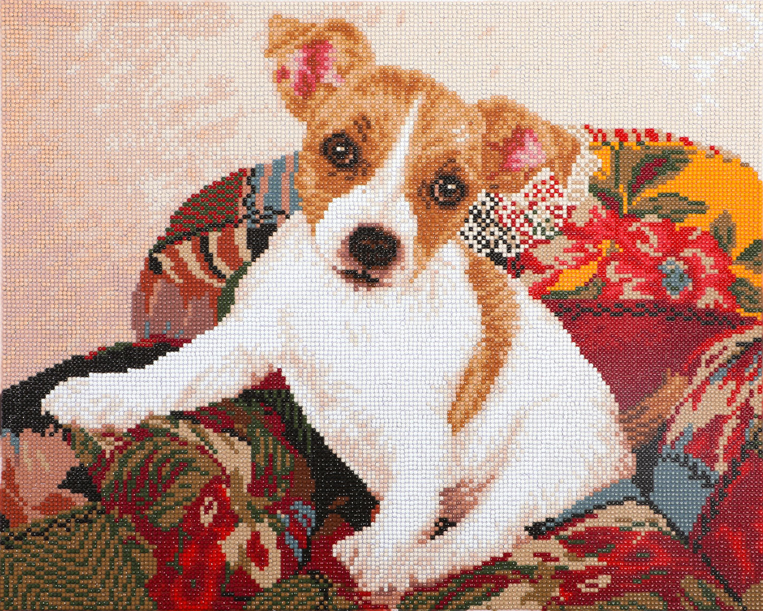 Patchwork Pup