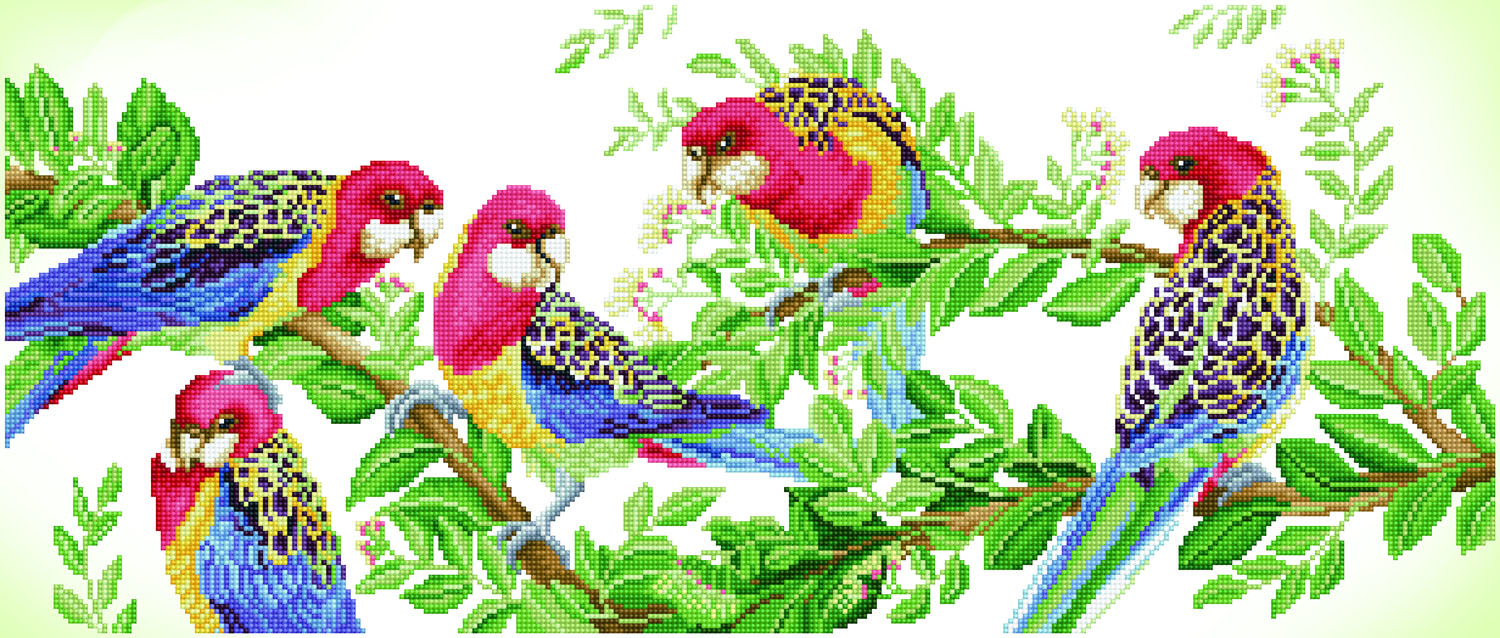 Eastern Rosella Gathering