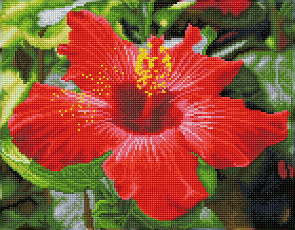 Hibiscus in bloom (Τετραγωνα Diamonds)