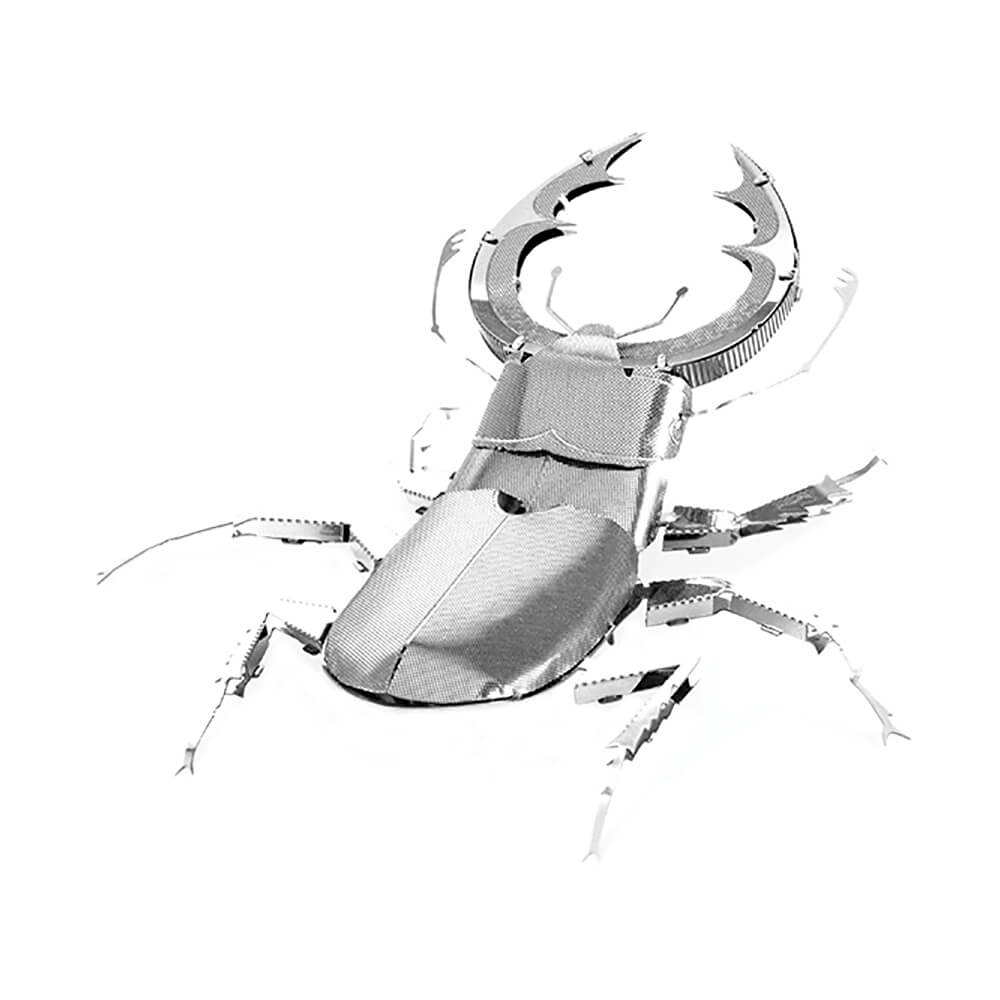 Stag Beetle (1φ)