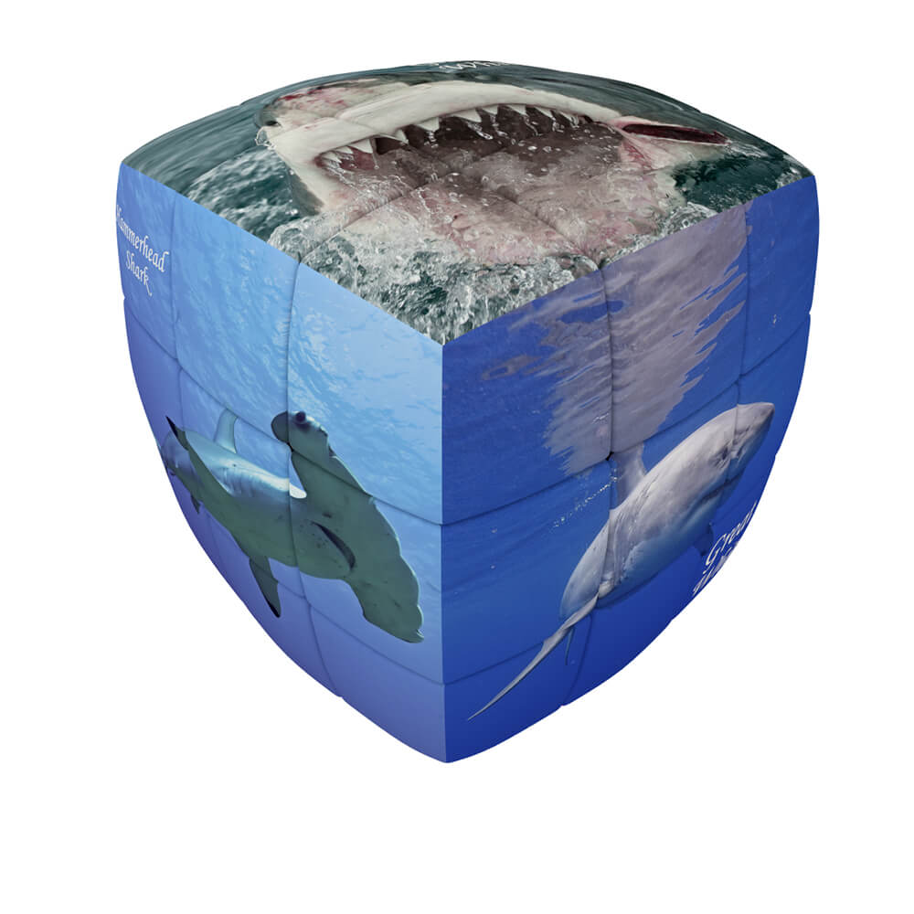 Sharks  - V-CUBE 3 Pillow